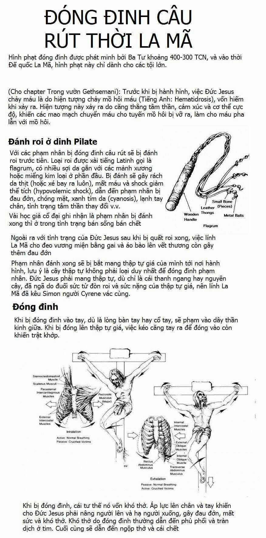 Thánh Kinh Truyện - Đấng Cứu Thế Chapter 22 trang 14
