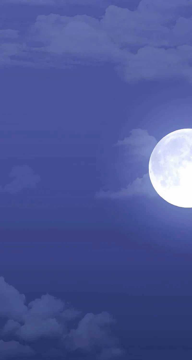 Thanh Mai Trúc Mã Của Đệ Nhất Thiên Hạ Chapter 3 trang 14