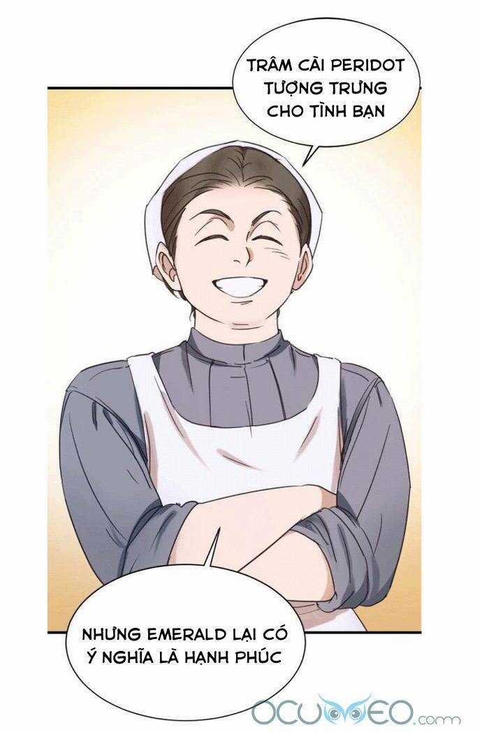 Thánh Nữ Ẩn Danh Chapter 3 trang 5