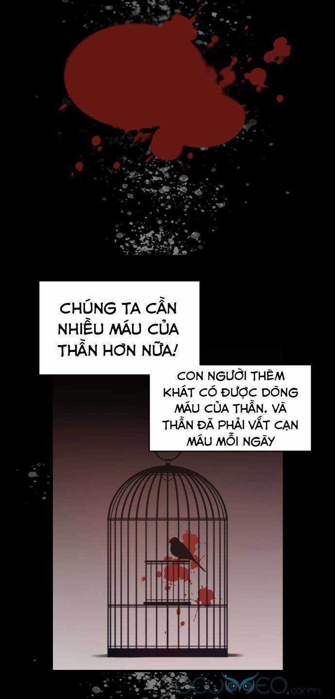 Thánh Nữ Ẩn Danh Chapter 7 trang 52