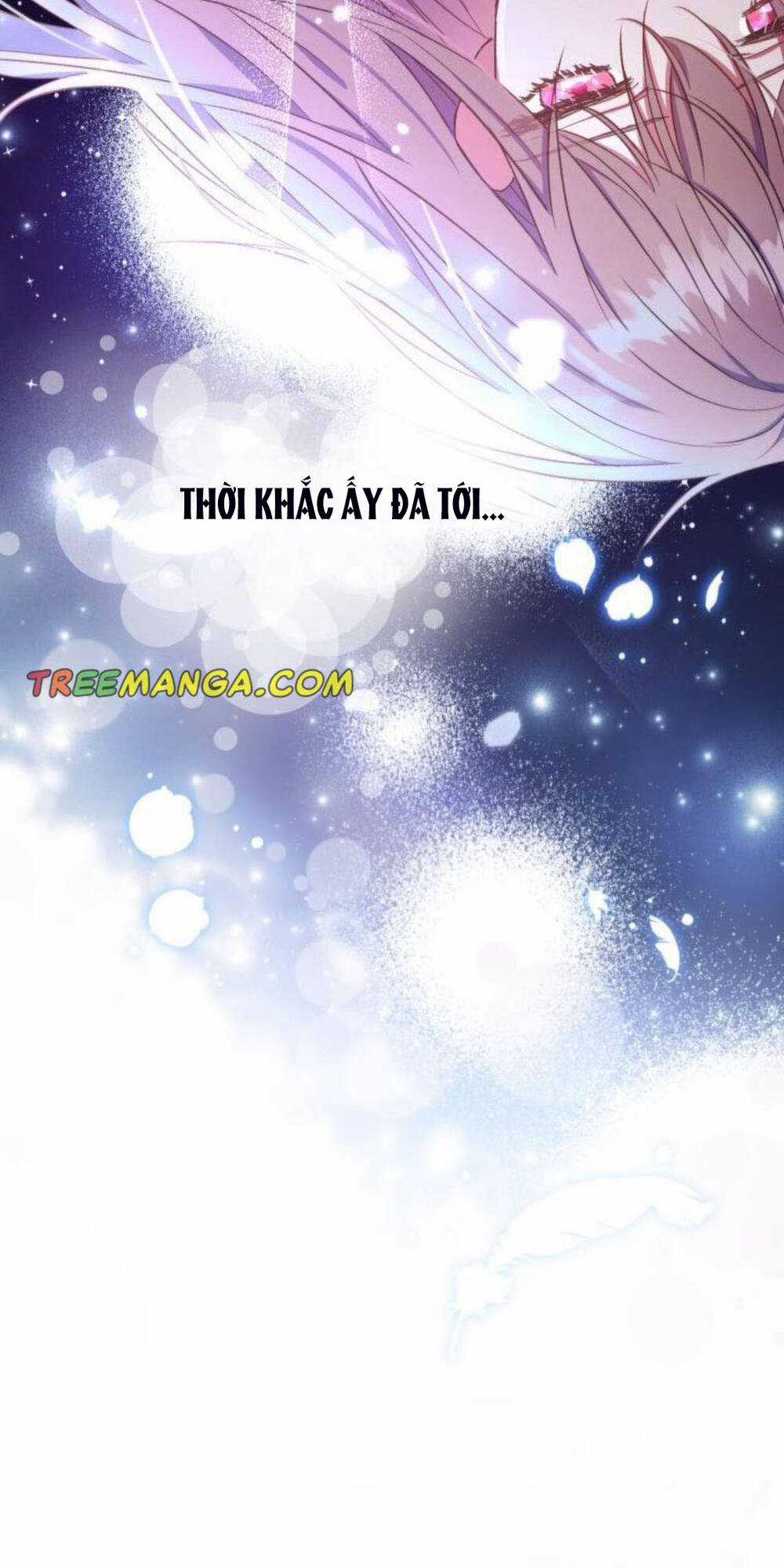 Thánh Nữ Được Đại Công Tước Nhận Nuôi Chapter 5 trang 3