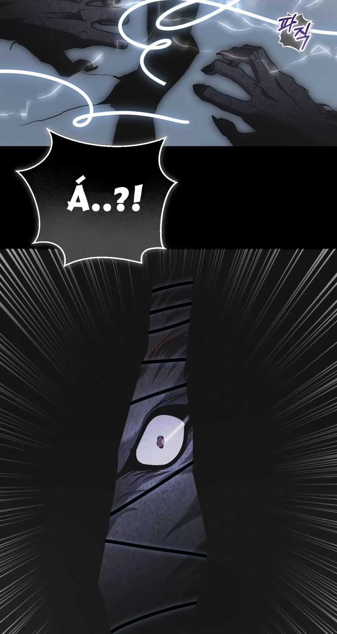 Thánh Nữ Giả Muốn Bỏ Trốn Chuong 46 trang 51