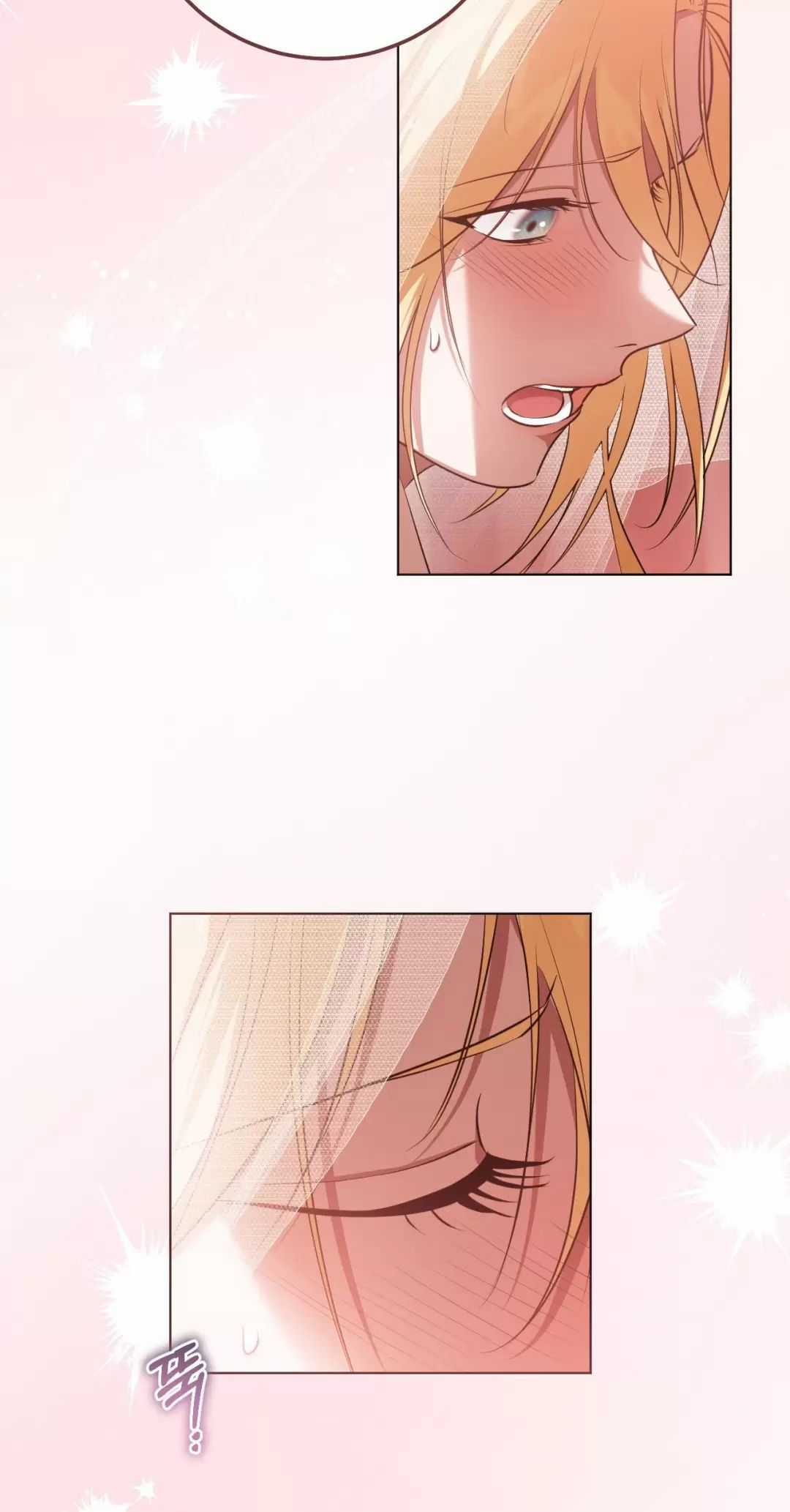 Thánh Nữ Giả Muốn Bỏ Trốn Chuong 71 trang 28