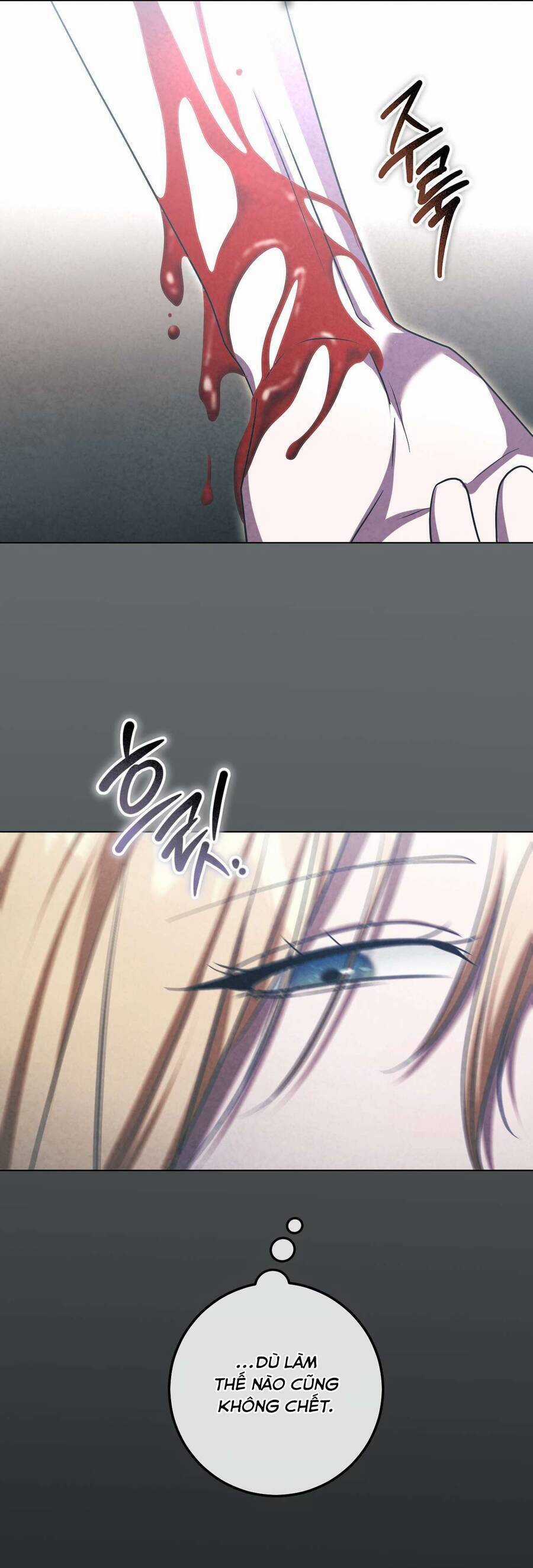 Thánh Nữ Giả Muốn Bỏ Trốn Chương 80 trang 45