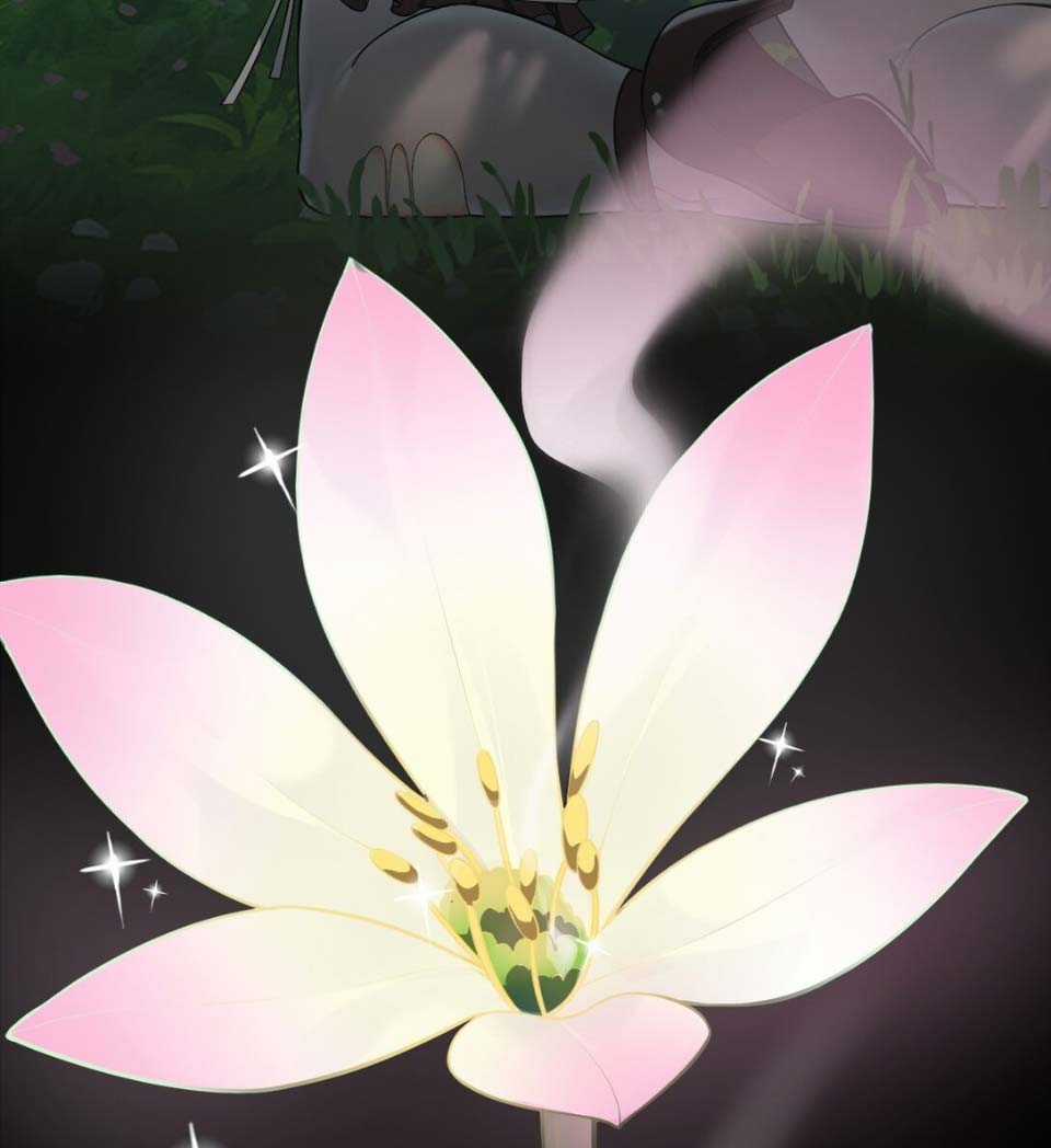 Thánh Nữ Tiểu Thư Xin Ngài Đừng Suy Diễn Nữa Chapter 13 trang 8