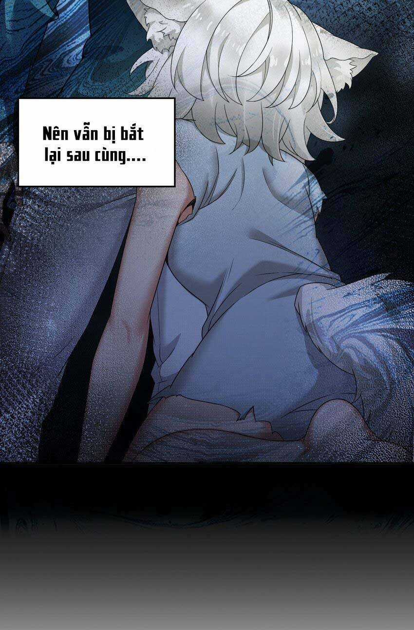 Thánh Nữ, Xin Hãy Dừng Ngay Những Trò Quái Đản Của Cô Đi!! Chapter 32 trang 19