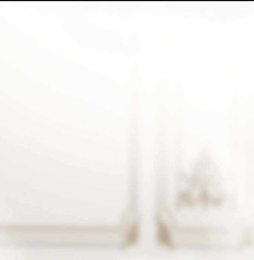 Thánh Nữ, Xin Hãy Dừng Ngay Những Trò Quái Đản Của Cô Đi!! Chapter 32 trang 30