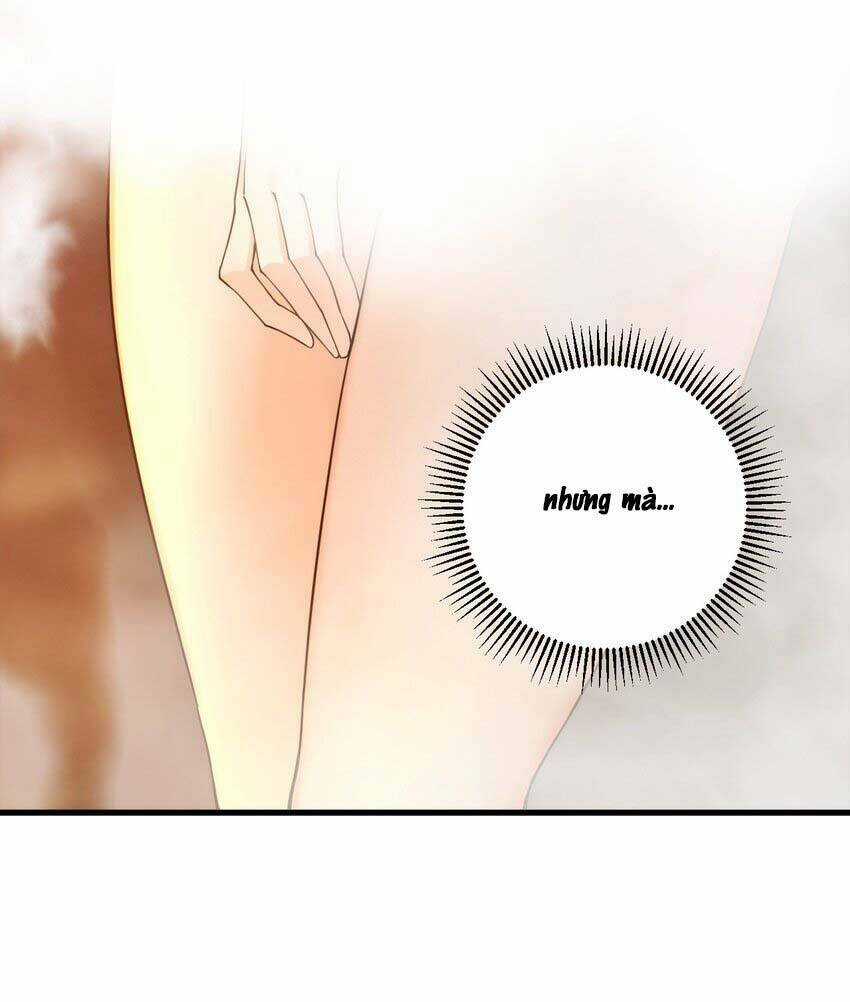 Thánh Nữ, Xin Hãy Dừng Ngay Những Trò Quái Đản Của Cô Đi!! Chapter 38 trang 36