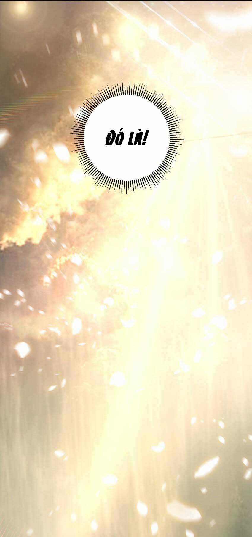 Thánh Nữ, Xin Hãy Dừng Ngay Những Trò Quái Đản Của Cô Đi!! Chapter 45 trang 4