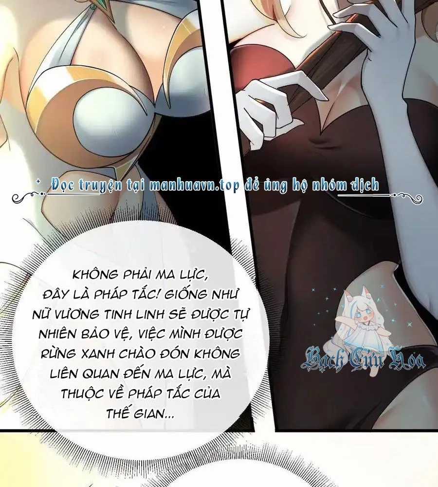 Thánh Nữ, Xin Hãy Dừng Ngay Những Trò Quái Đản Của Cô Đi!! Chapter 79 trang 41