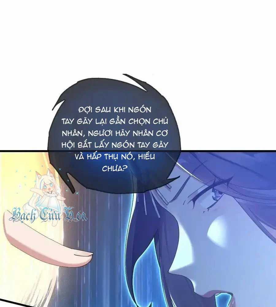 Thánh Nữ, Xin Hãy Dừng Ngay Những Trò Quái Đản Của Cô Đi!! Chapter 79 trang 55