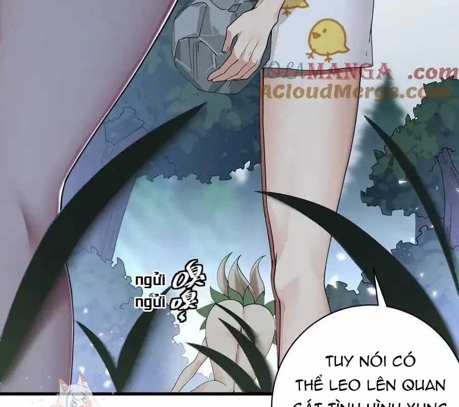 Thánh Nữ, Xin Hãy Dừng Ngay Những Trò Quái Đản Của Cô Đi!! Chapter 81 trang 51