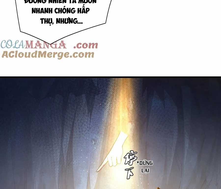 Thánh Nữ, Xin Hãy Dừng Ngay Những Trò Quái Đản Của Cô Đi!! Chapter 82 trang 18