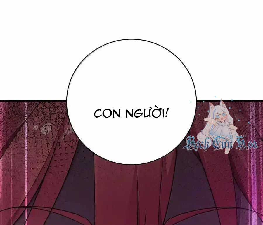 Thánh Nữ, Xin Hãy Dừng Ngay Những Trò Quái Đản Của Cô Đi!! Chapter 98 trang 41