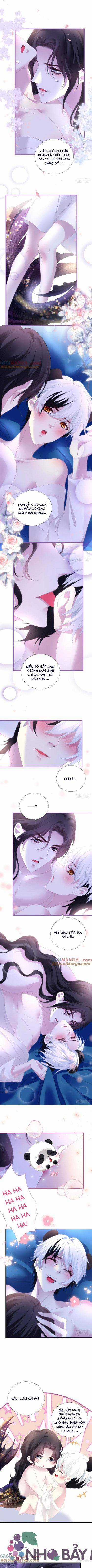 THÁNH TÂM KHÔNG KHÓ TRÊU CHỌC Chapter 42 trang 4