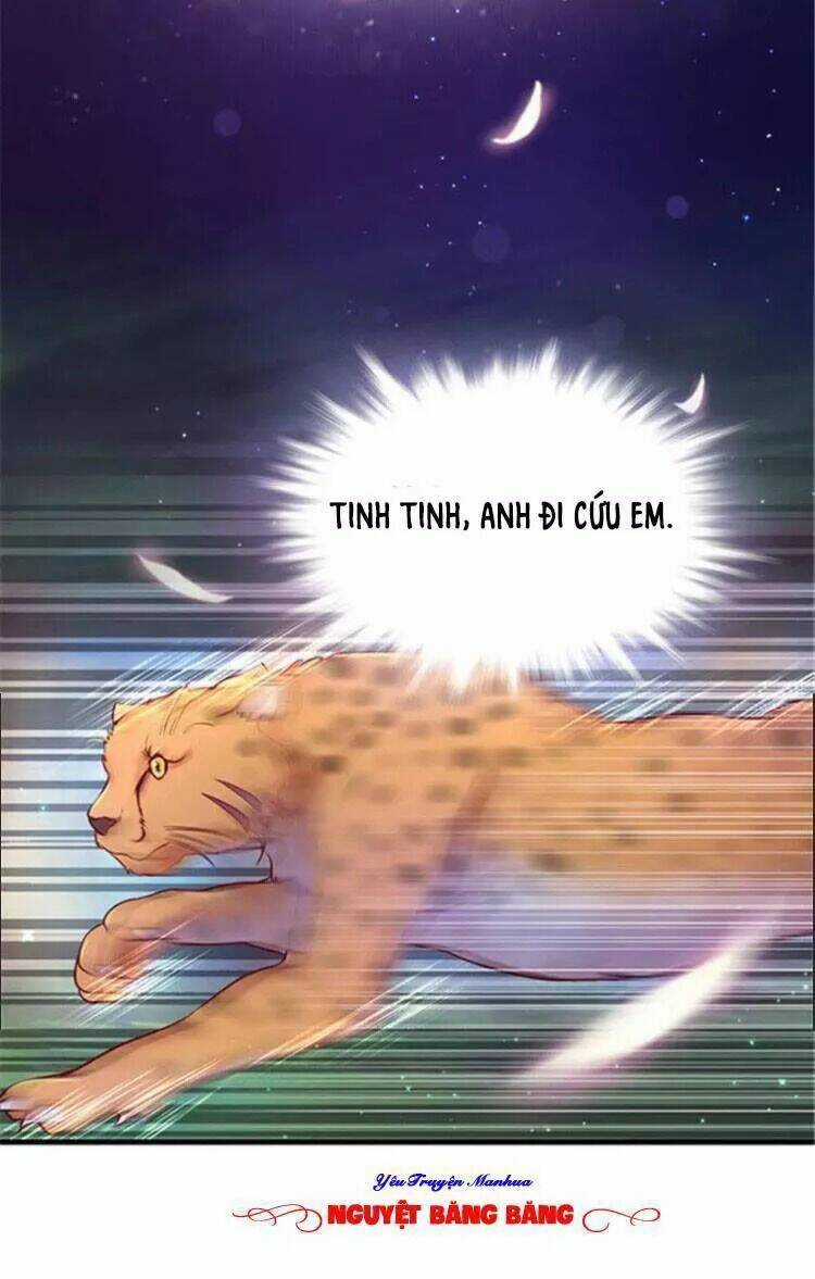 Thảnh Thơi Thú Thế Chủng Chủng Điền, Sinh Sinh Tể Chapter 25 trang 70