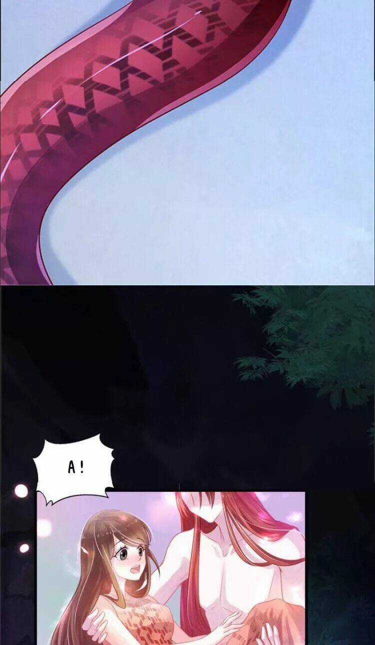 Thảnh Thơi Thú Thế Chủng Chủng Điền, Sinh Sinh Tể Chapter 28 trang 4