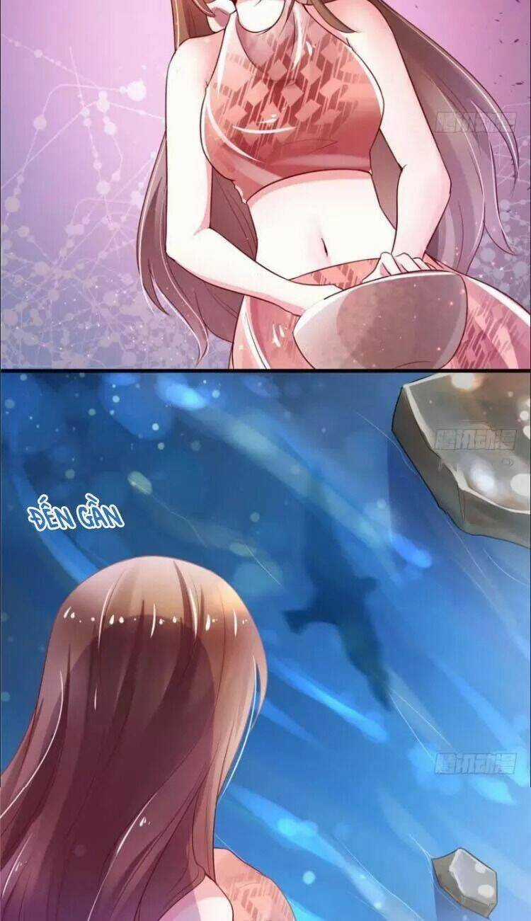 Thảnh Thơi Thú Thế Chủng Chủng Điền, Sinh Sinh Tể Chapter 28 trang 40