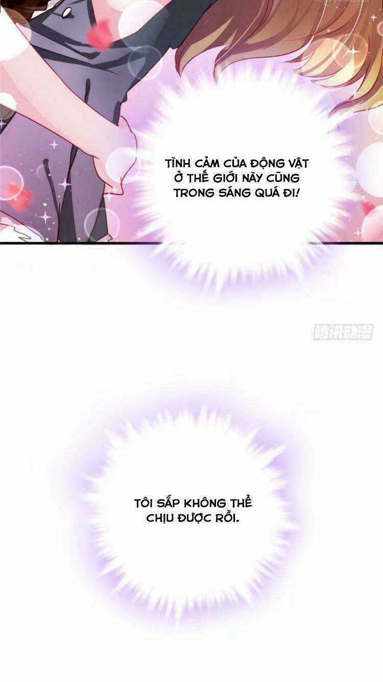 Thảnh Thơi Thú Thế Chủng Chủng Điền, Sinh Sinh Tể Chapter 6 trang 27