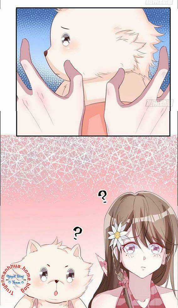 Thảnh Thơi Thú Thế Chủng Chủng Điền, Sinh Sinh Tể Chapter 73 trang 27