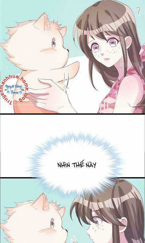 Thảnh Thơi Thú Thế Chủng Chủng Điền, Sinh Sinh Tể Chapter 74 trang 6