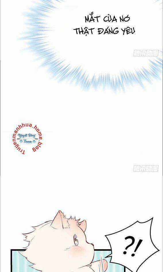 Thảnh Thơi Thú Thế Chủng Chủng Điền, Sinh Sinh Tể Chapter 74 trang 8