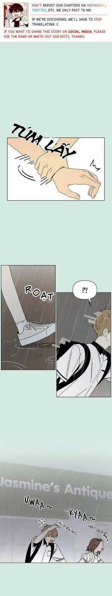 Thanh Xuân Rực Rỡ Chapter 39 trang 1