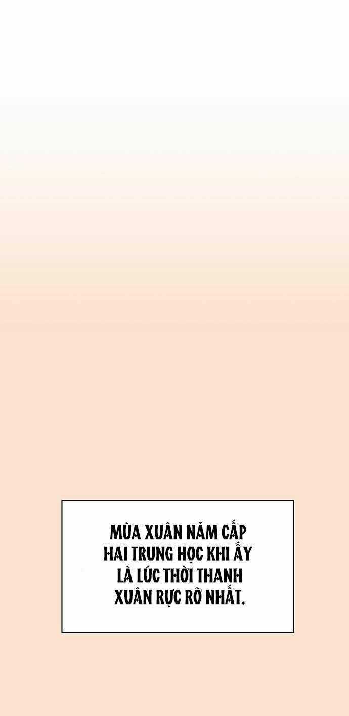 Thanh Xuân Rực Rỡ Chapter 77 trang 1