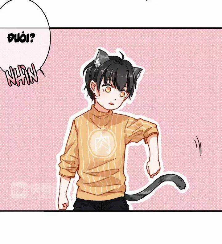 Thập Quang Mật Ngữ Chapter 11 trang 20