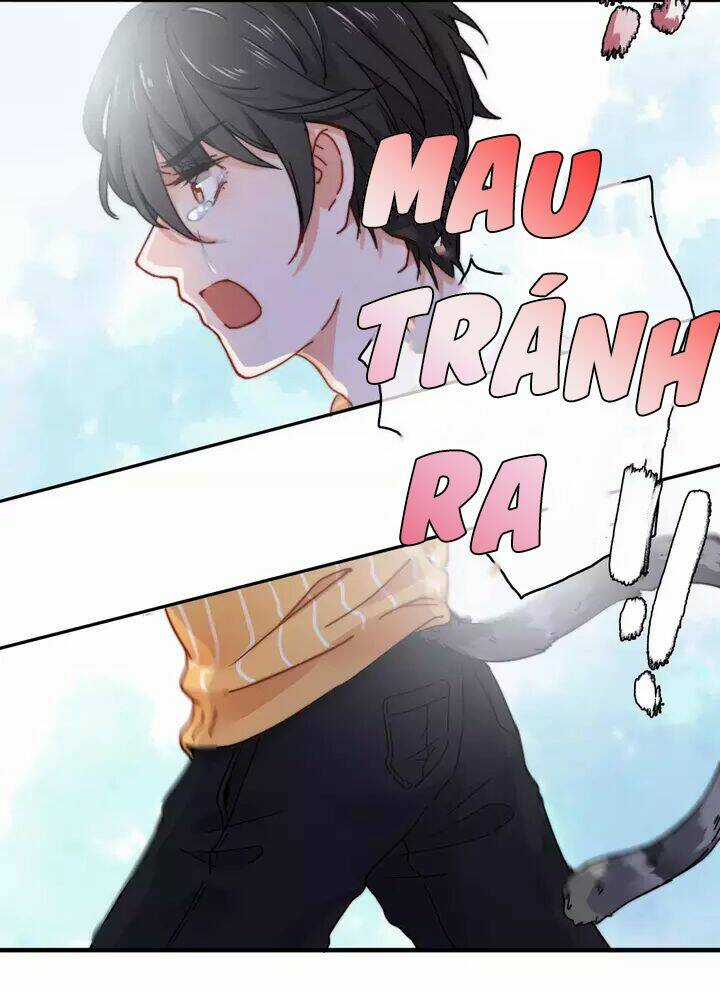 Thập Quang Mật Ngữ Chapter 11 trang 4