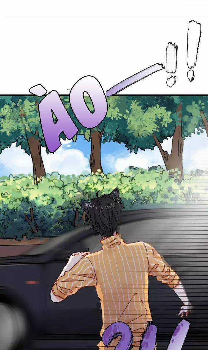 Thập Quang Mật Ngữ Chapter 11 trang 5