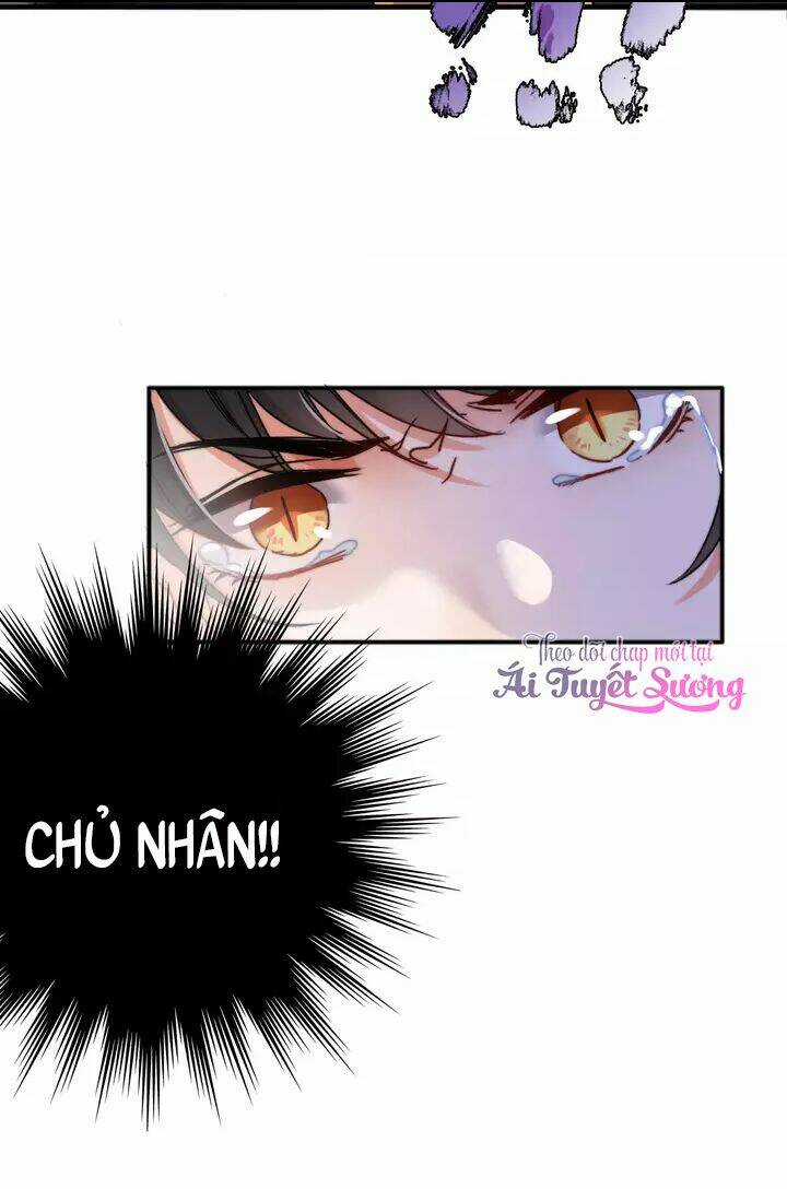 Thập Quang Mật Ngữ Chapter 11 trang 6