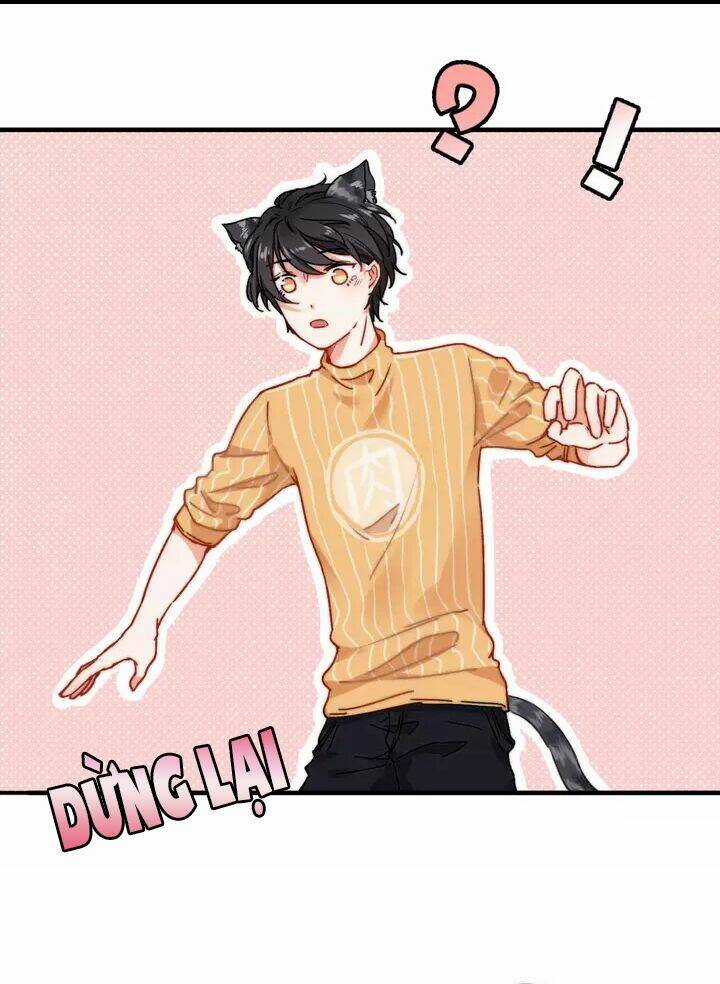 Thập Quang Mật Ngữ Chapter 11 trang 7