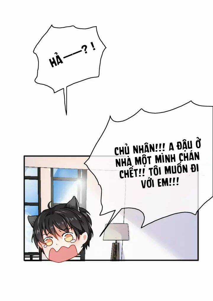 Thập Quang Mật Ngữ Chapter 12.5 trang 12