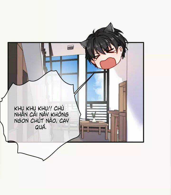 Thập Quang Mật Ngữ Chapter 12 trang 6