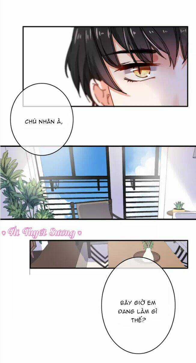 Thập Quang Mật Ngữ Chapter 13 trang 15