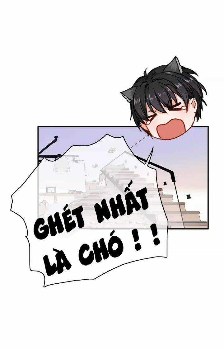 Thập Quang Mật Ngữ Chapter 13 trang 4