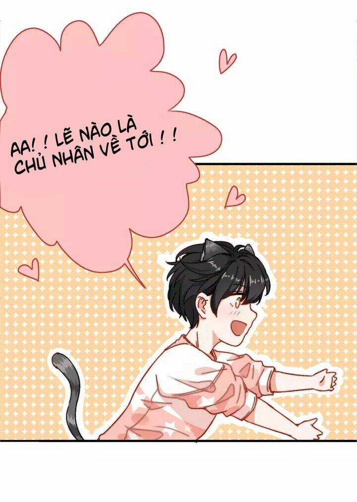 Thập Quang Mật Ngữ Chapter 13 trang 7