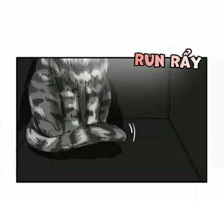 Thập Quang Mật Ngữ Chapter 5 trang 10