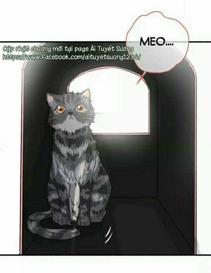 Thập Quang Mật Ngữ Chapter 5 trang 11