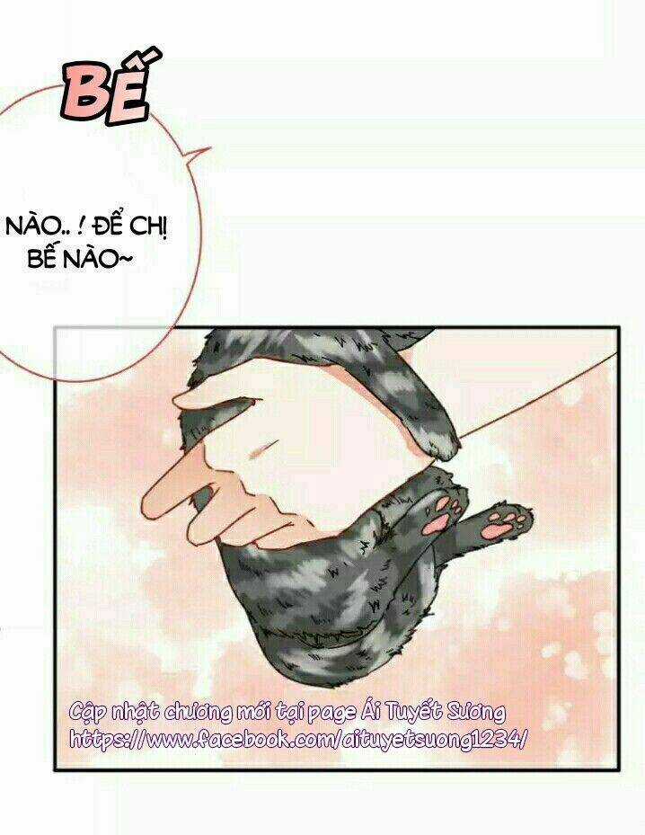 Thập Quang Mật Ngữ Chapter 5 trang 12