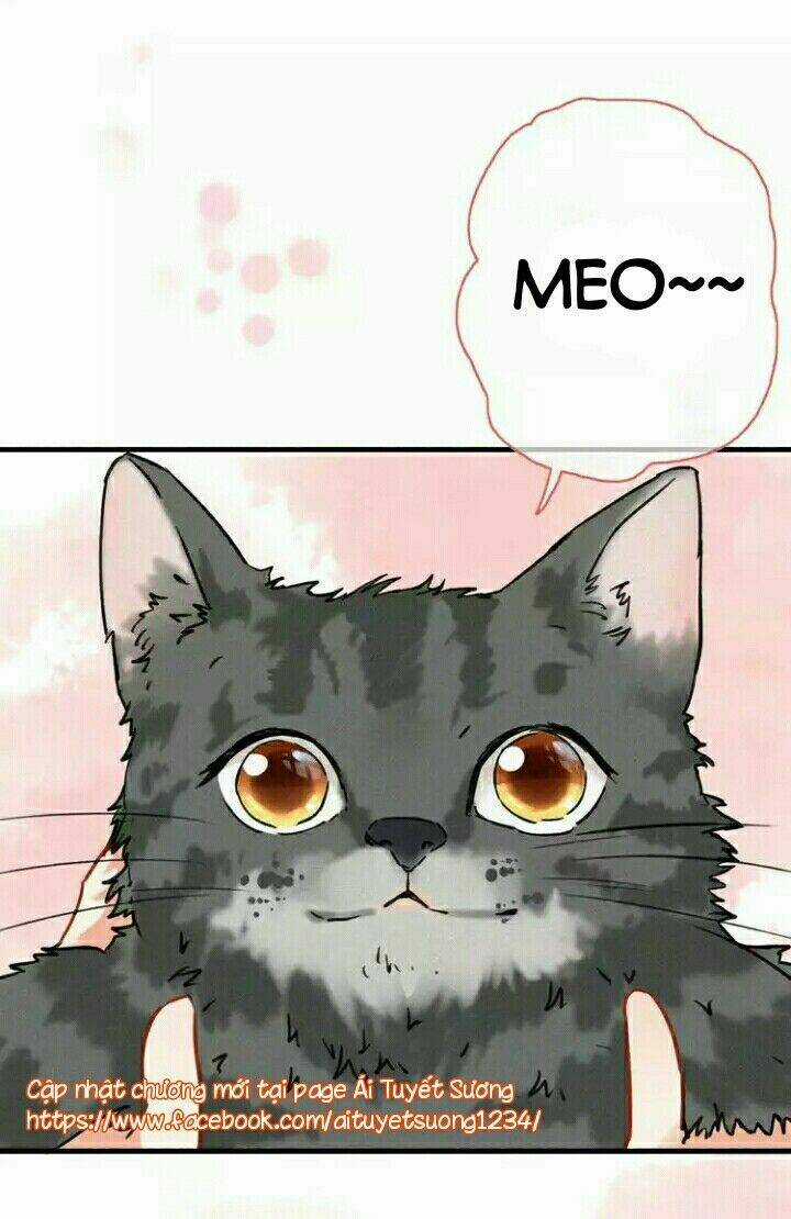 Thập Quang Mật Ngữ Chapter 5 trang 15