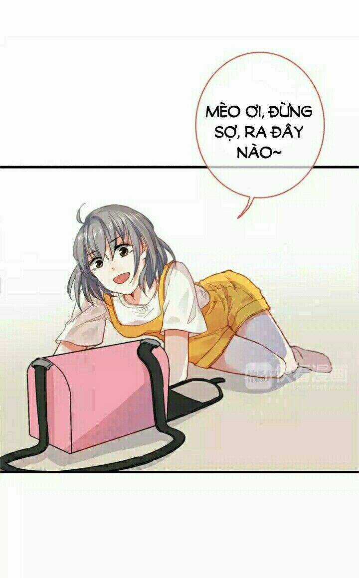 Thập Quang Mật Ngữ Chapter 5 trang 9