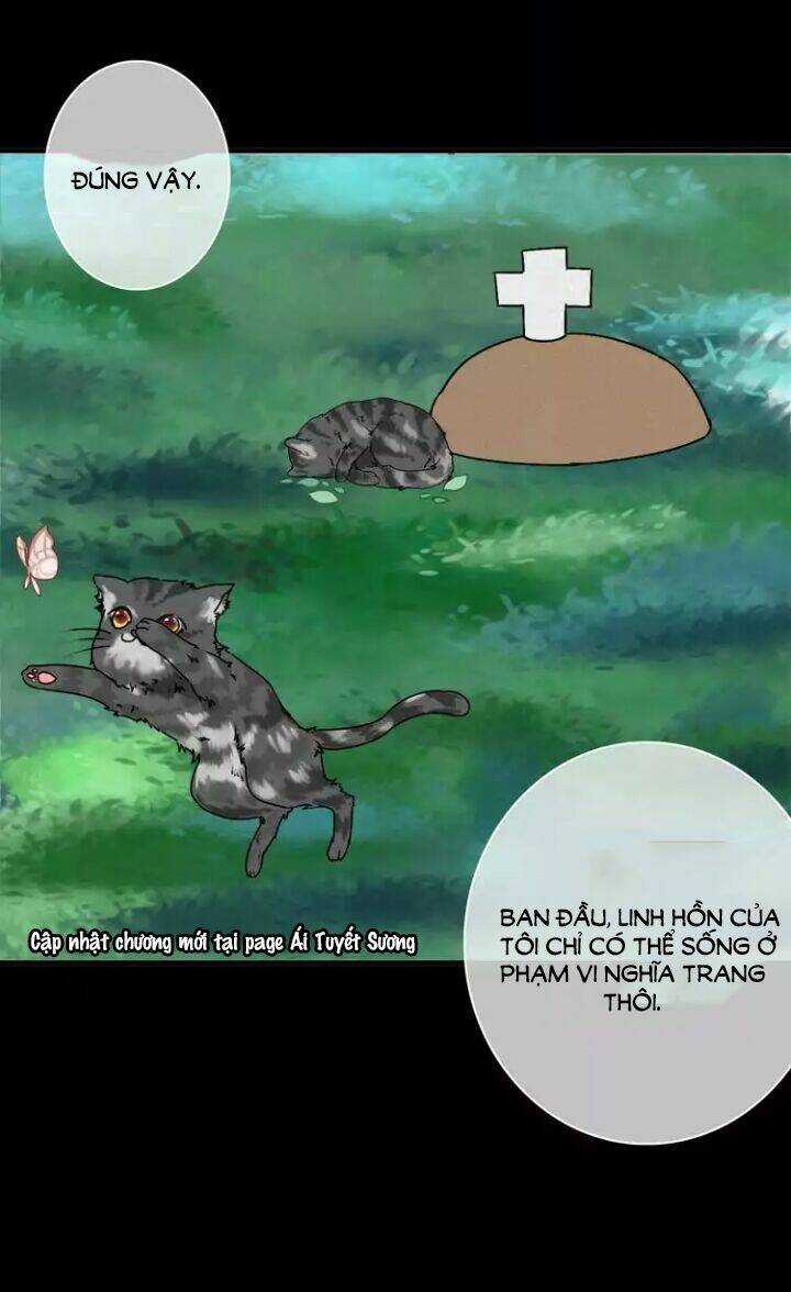 Thập Quang Mật Ngữ Chapter 6 trang 15