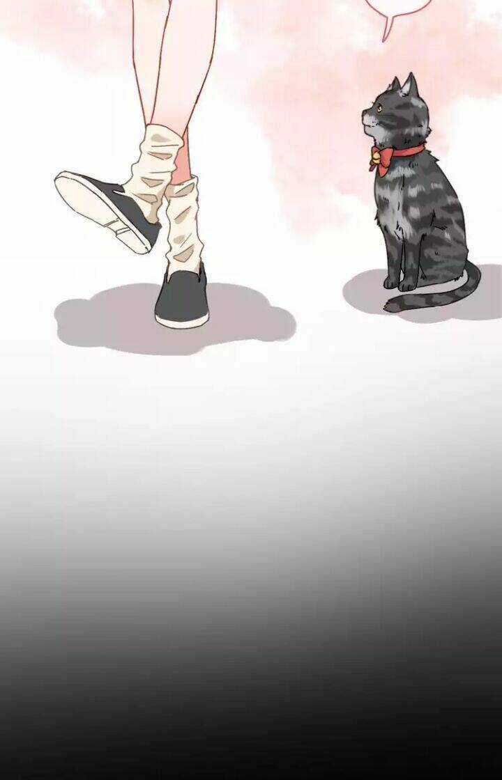 Thập Quang Mật Ngữ Chapter 6 trang 23