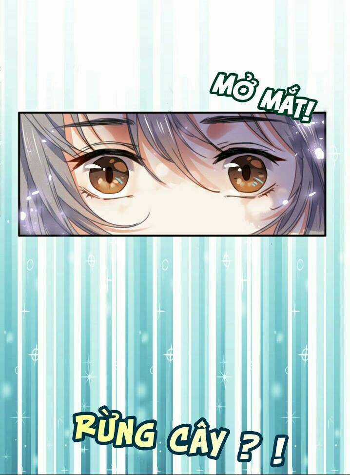 Thập Quang Mật Ngữ Chapter 8 trang 13