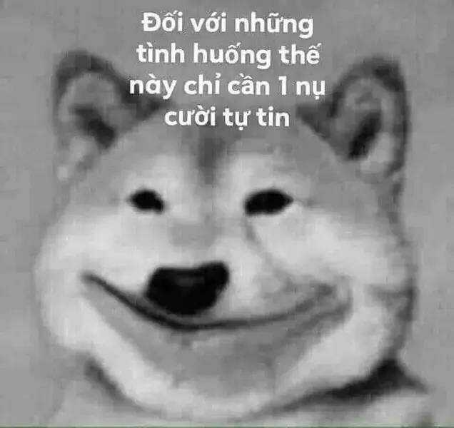Thất Sách Chuyển Sinh Chapter 15 trang 20