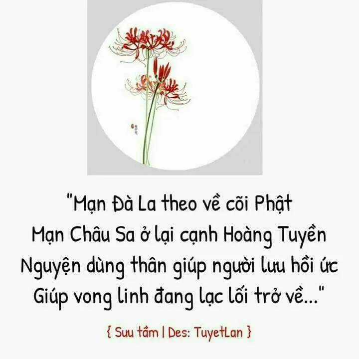 Thất Sách Chuyển Sinh Chapter 19 trang 26