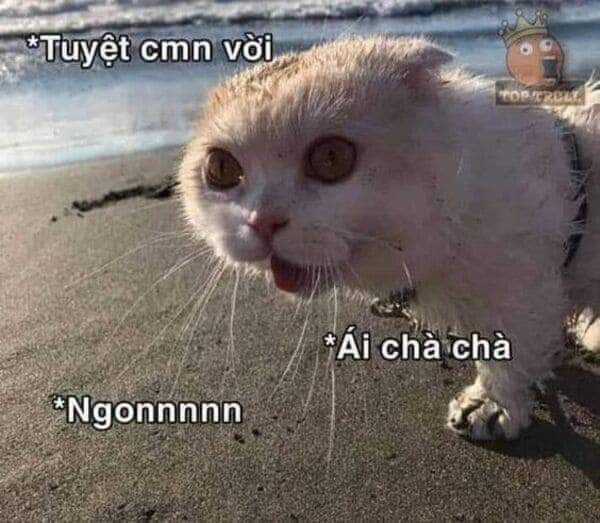 Thất Sách Chuyển Sinh Chapter 21 trang 27