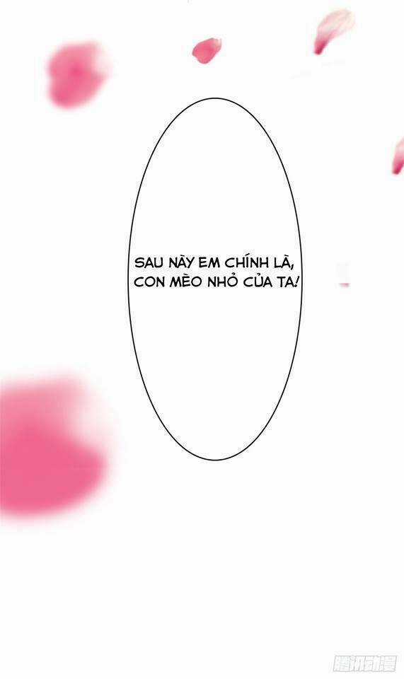 Thất Ức Kiều Thê Sủng Ái Ký Chapter 0 trang 17